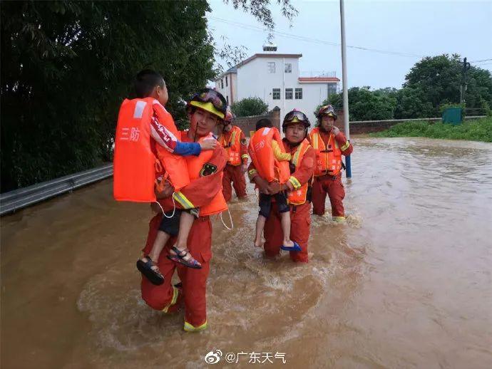 最新台风鹦鹉动态报道