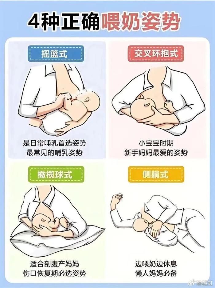 2025年度最热门哺乳攻略揭秘