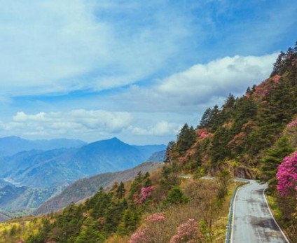 探寻神农架实时路况，畅享山水间通行指南